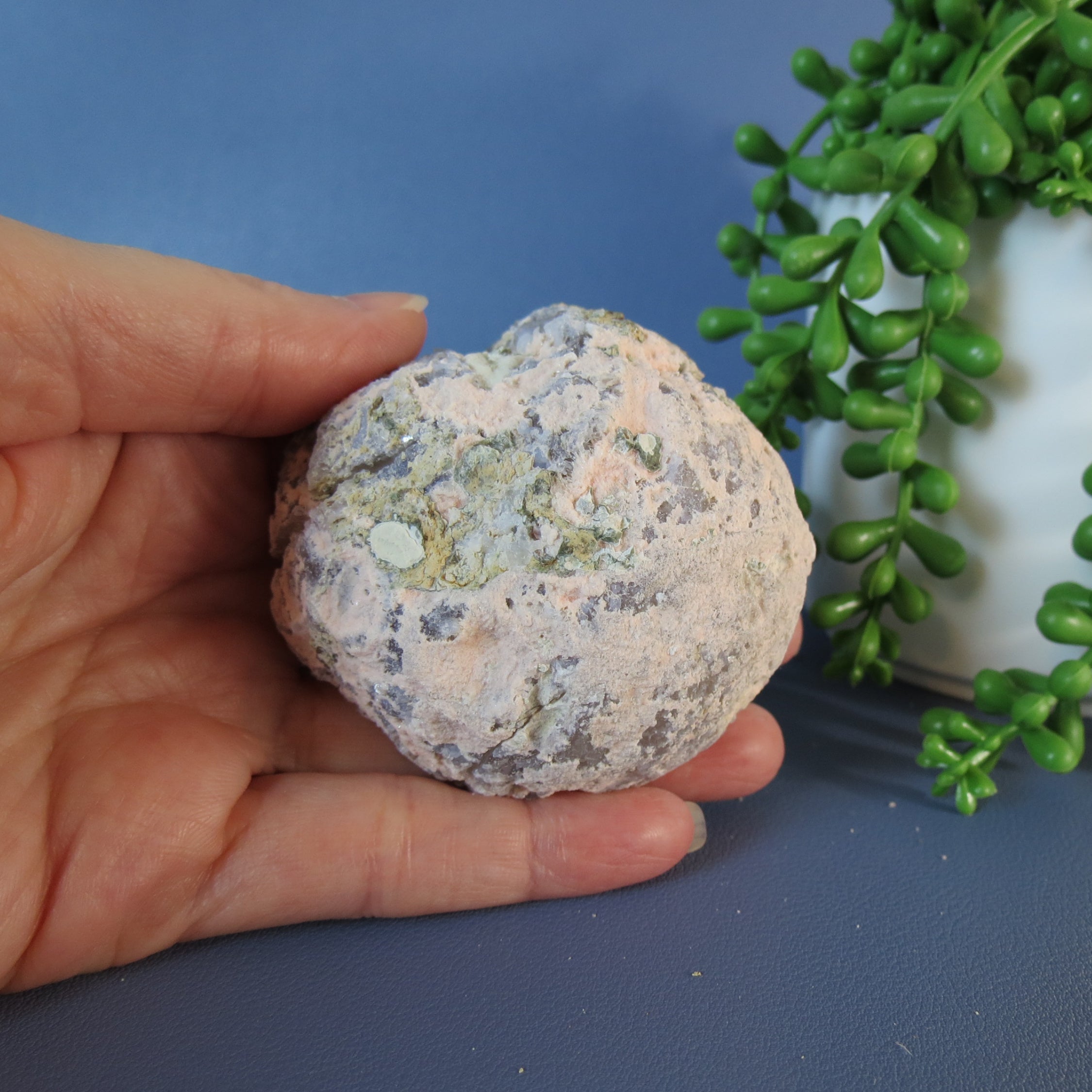 Trancas Geode - Pink, Chalcedony, Botryoidal, Drusy - Tra24a
