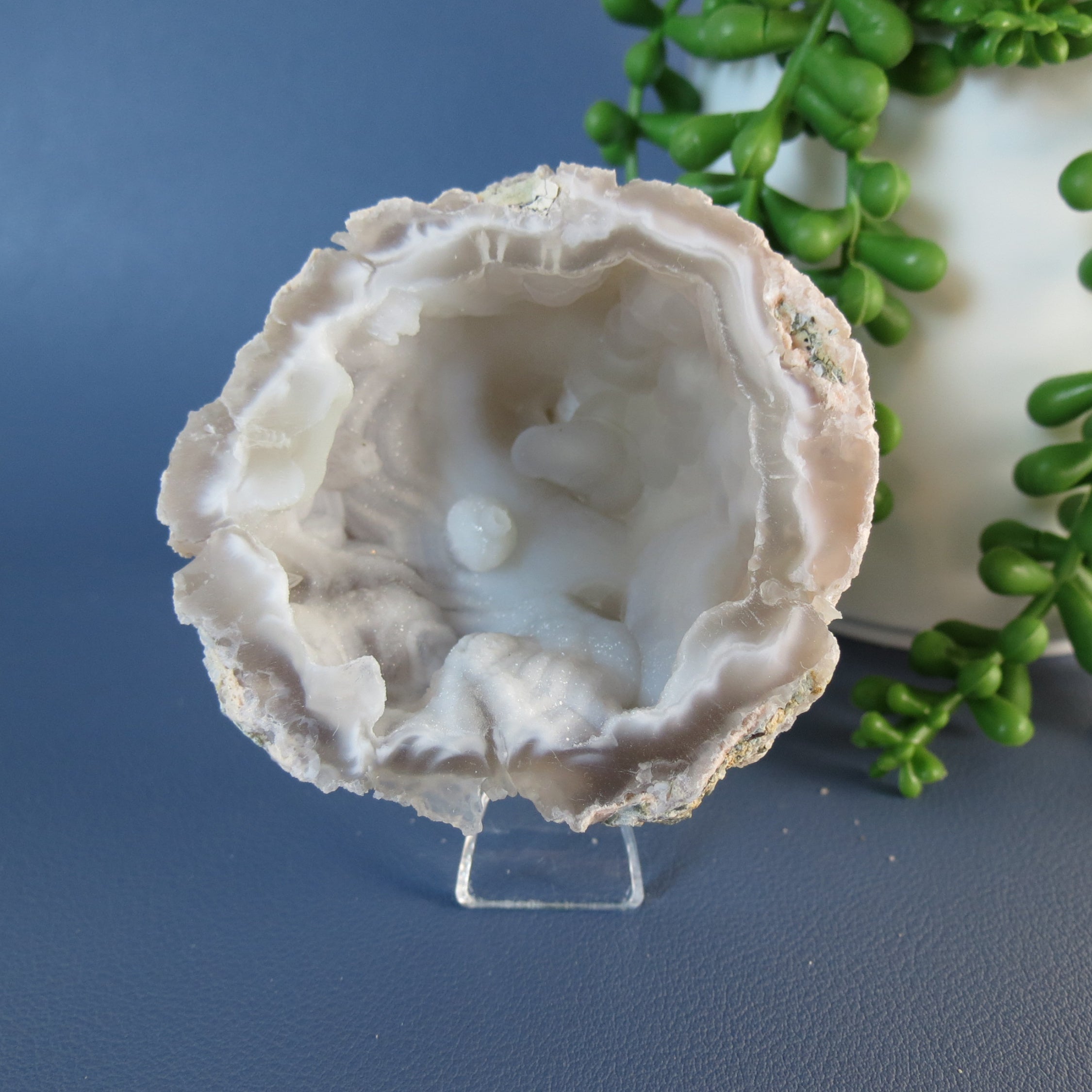 Trancas Geode - Pink, Chalcedony, Botryoidal, Drusy - Tra24a