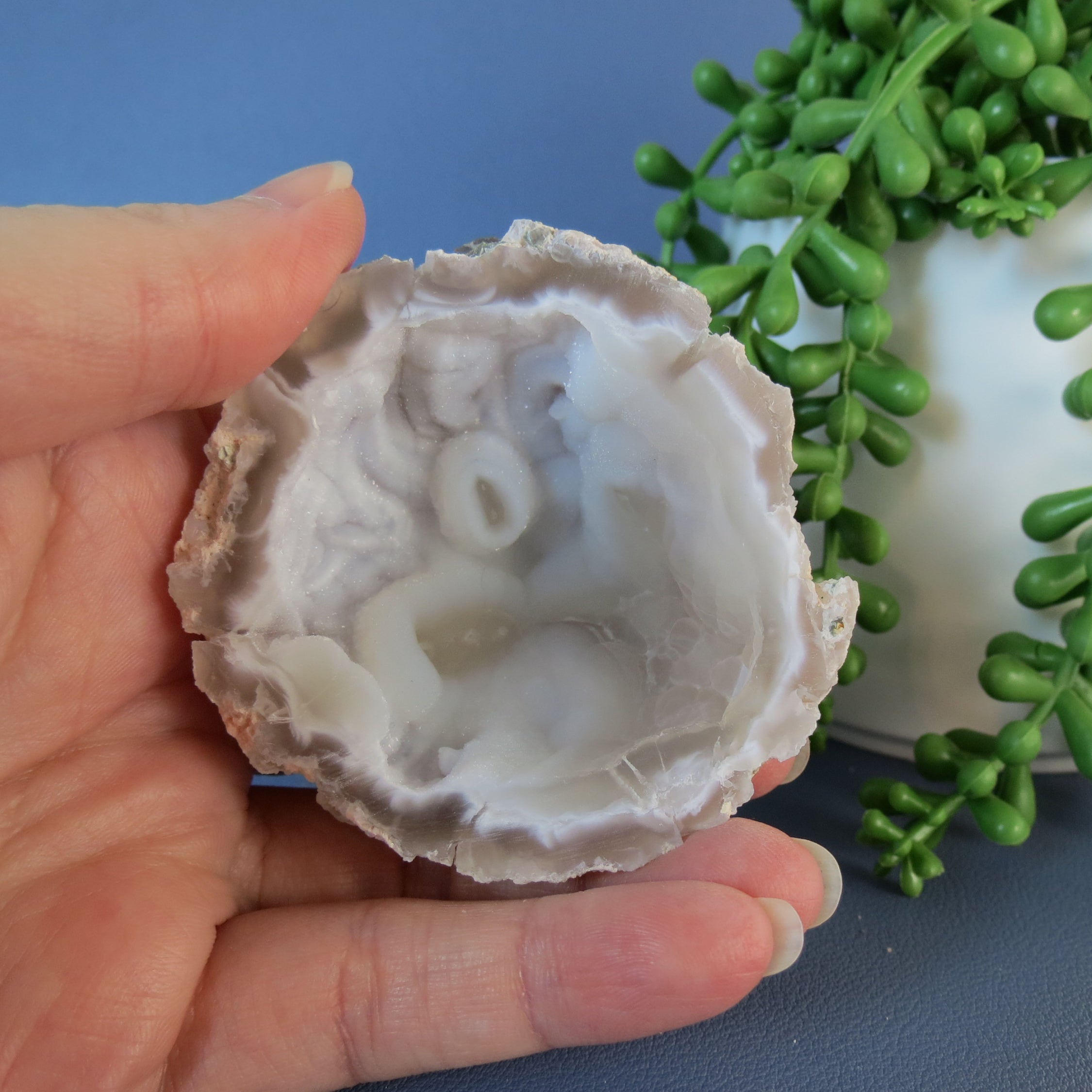 Trancas Geode - Pink, Chalcedony, Botryoidal, Drusy - Tra24b