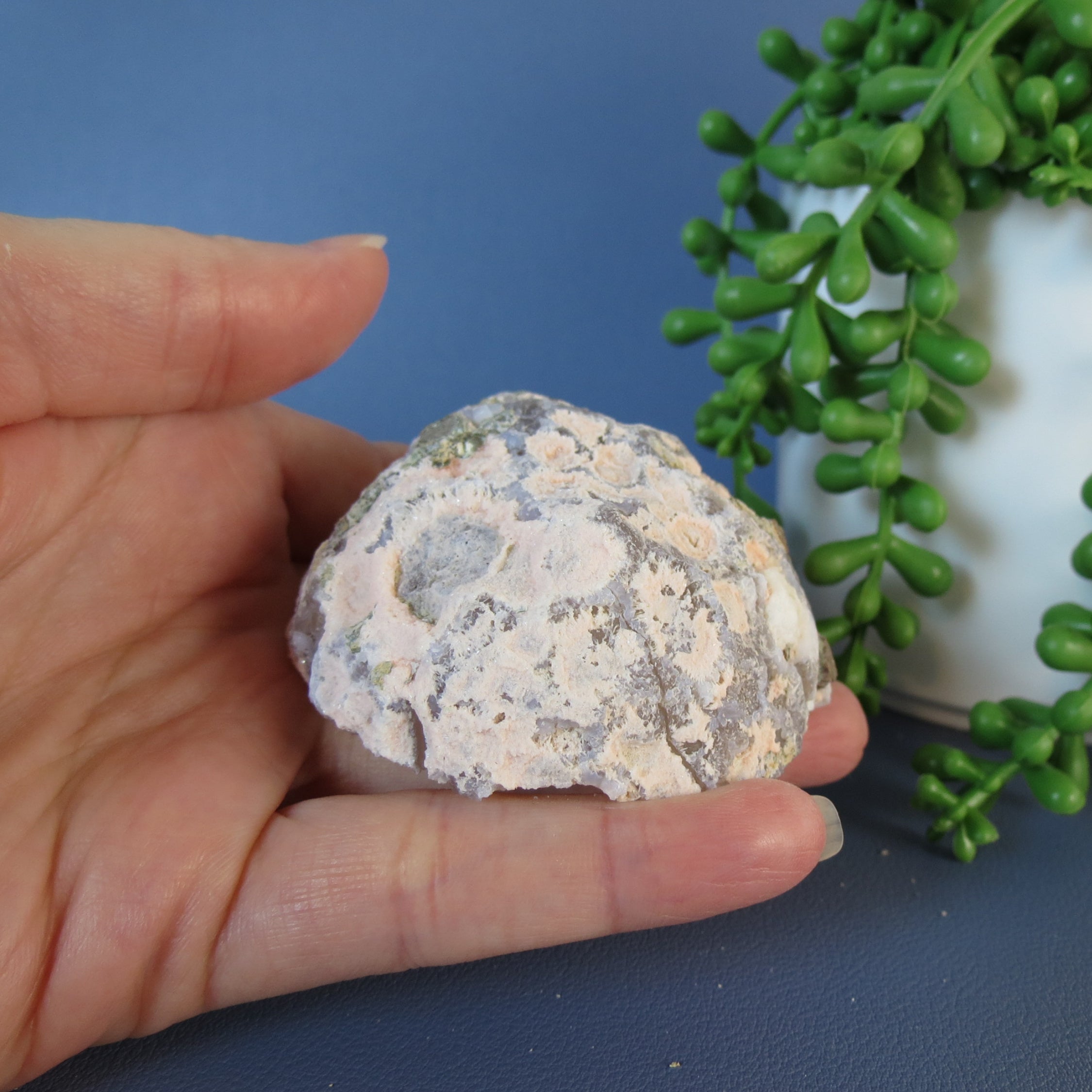 Trancas Geode - Pink, Chalcedony, Botryoidal, Drusy - Tra24b