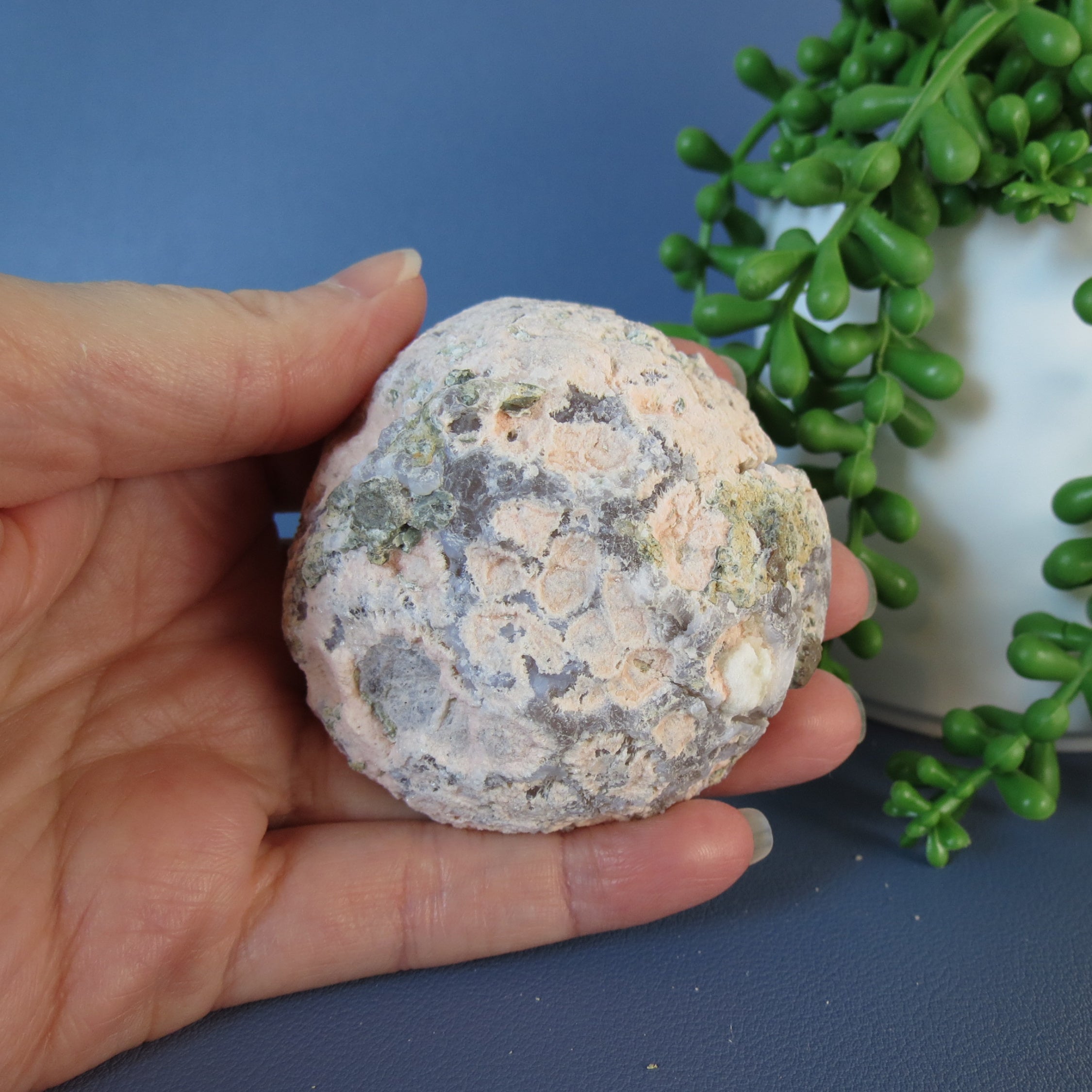 Trancas Geode - Pink, Chalcedony, Botryoidal, Drusy - Tra24b