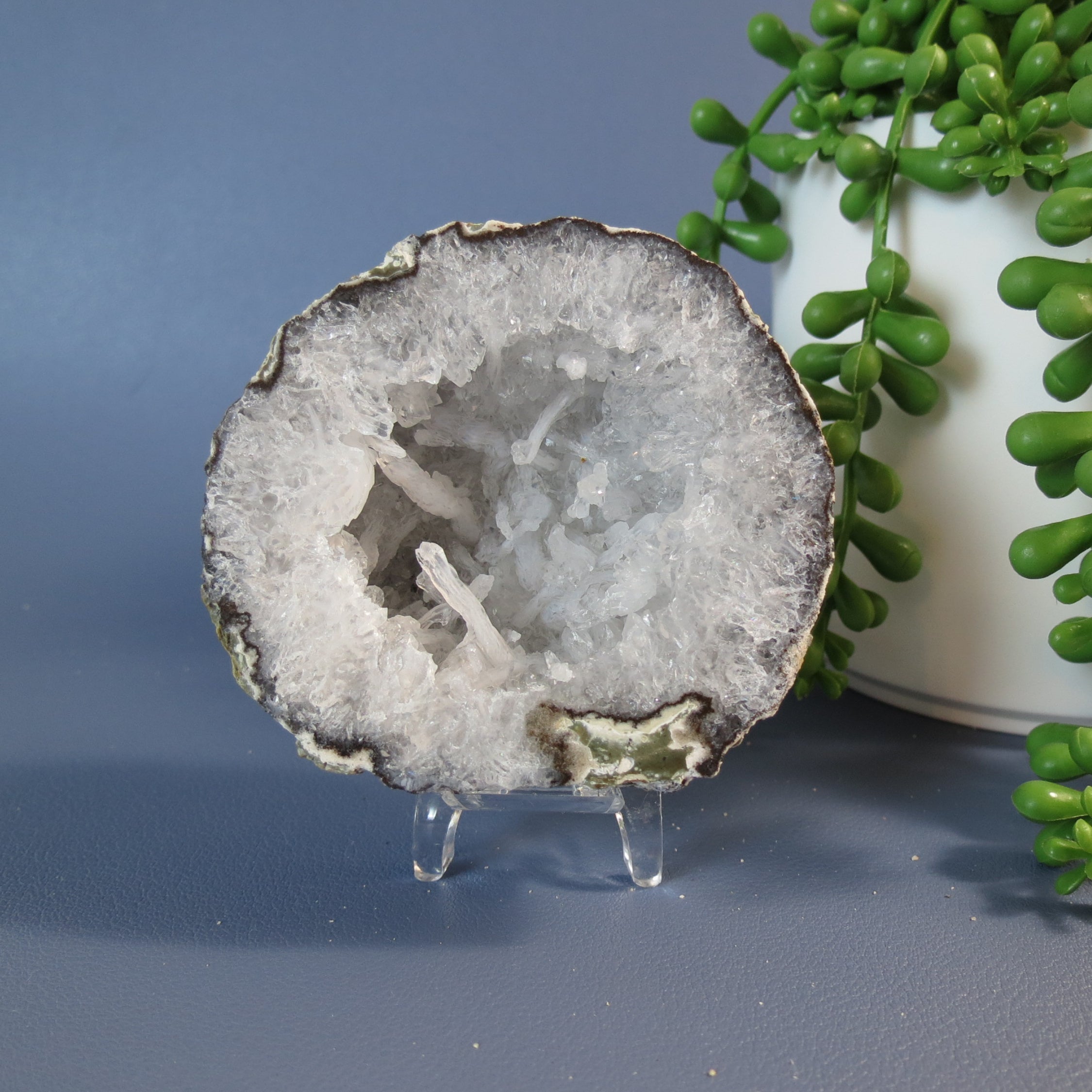 Trancas Geode - Scepter Quartz - Tra26a