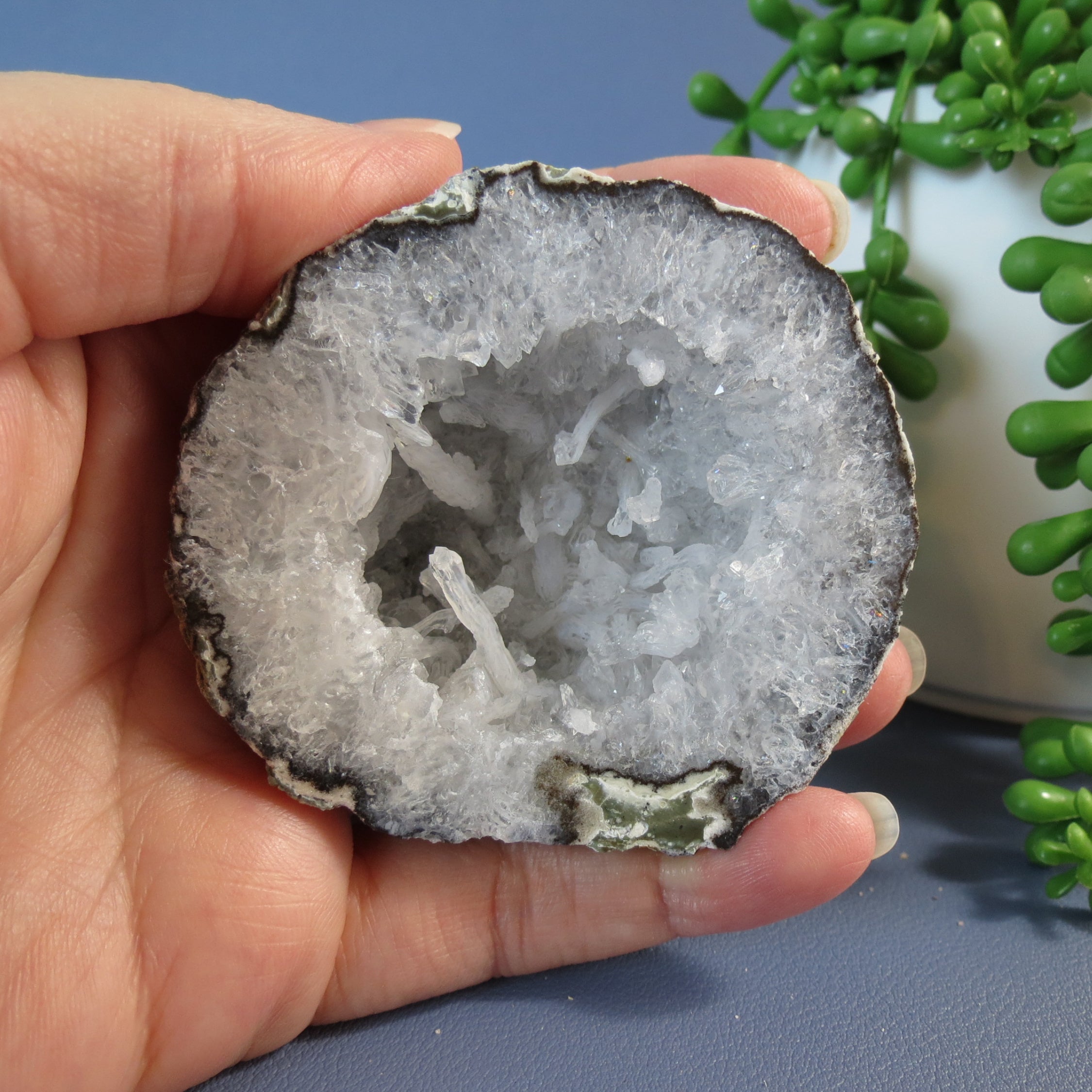 Trancas Geode - Scepter Quartz - Tra26a