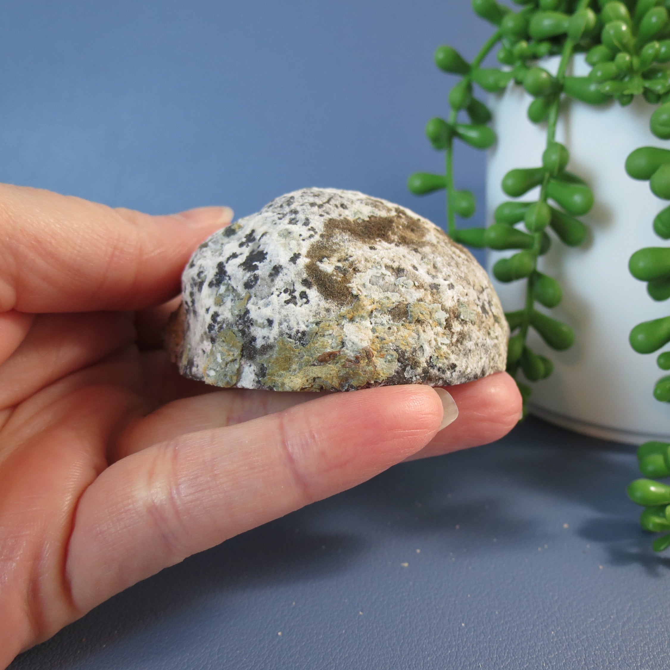 Trancas Geode - Scepter Quartz - Tra26a