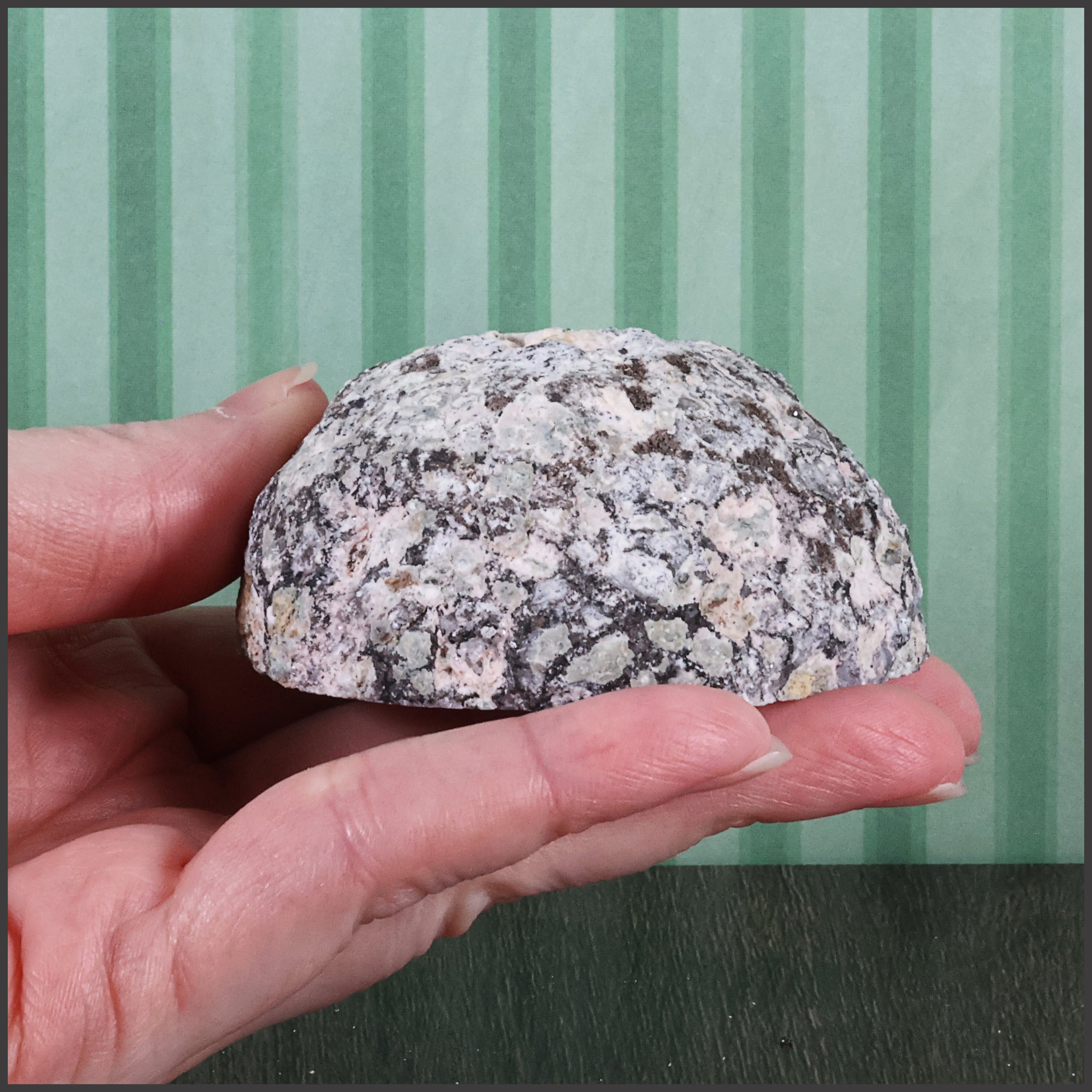 Trancas Geode - "Winter Freeze" - Natural Scepter Quartz (60b)