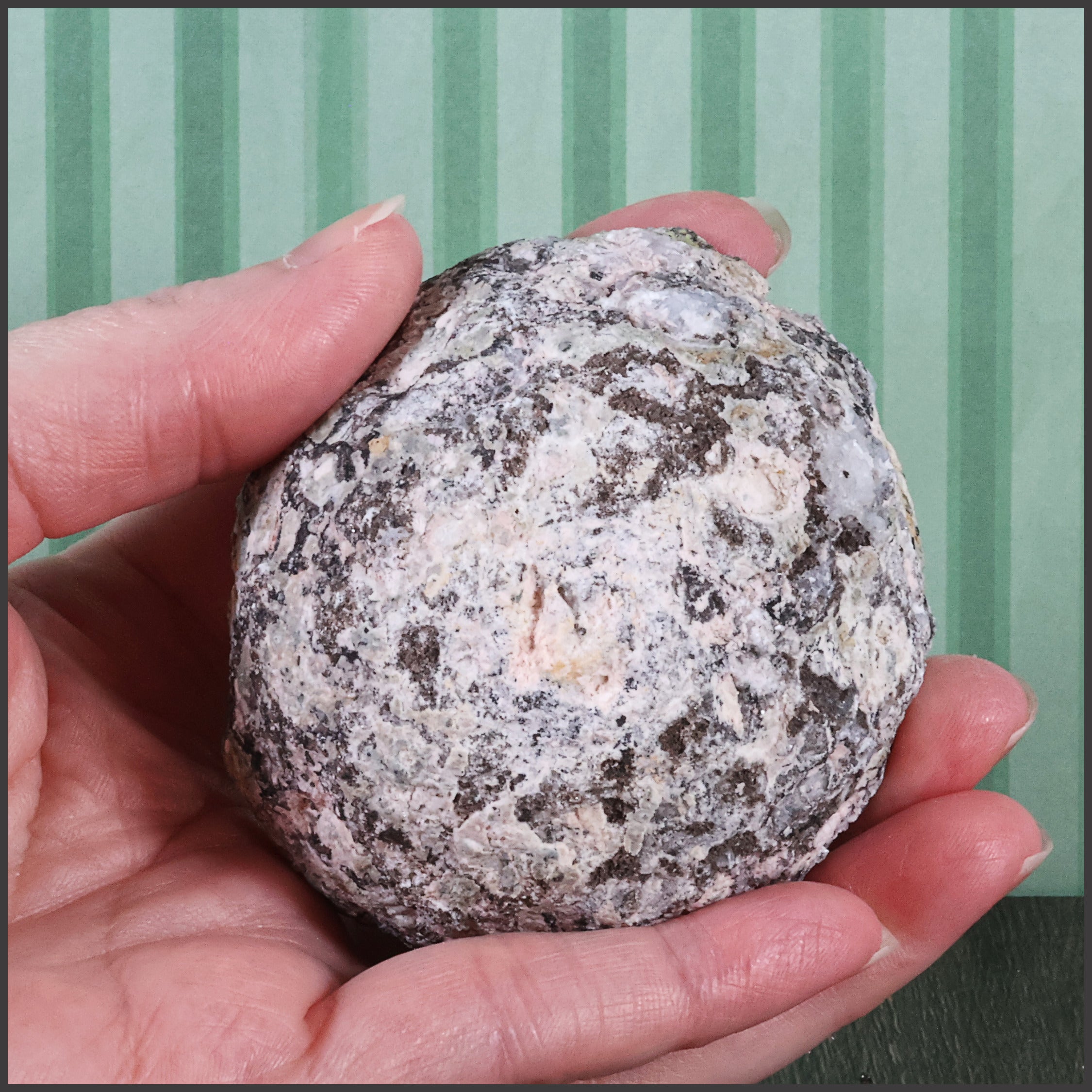 Trancas Geode - "Winter Freeze" - Natural Scepter Quartz (60b)