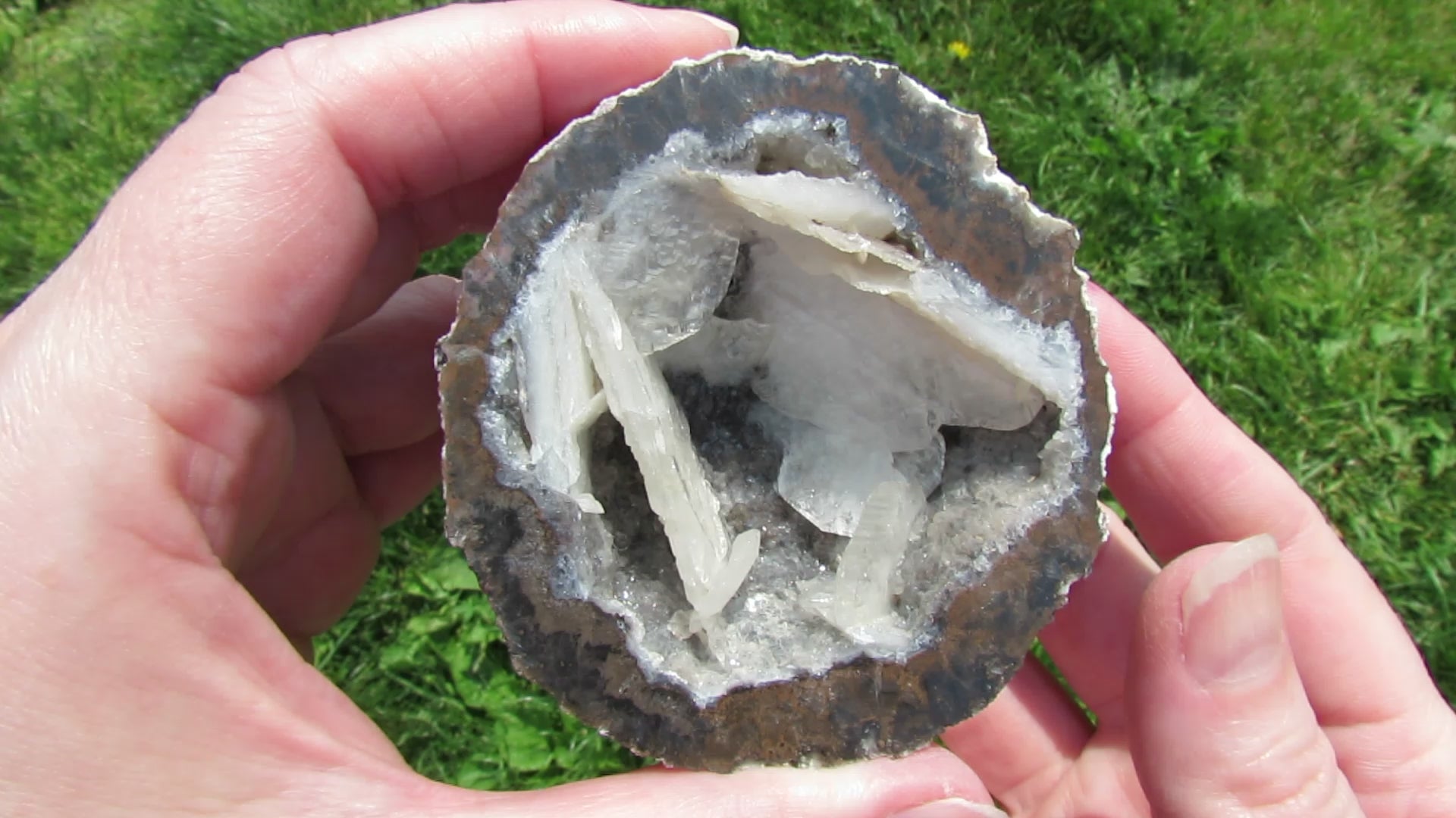 Coconut Geode - Coco8b - Calcite Plating, Angel Wings