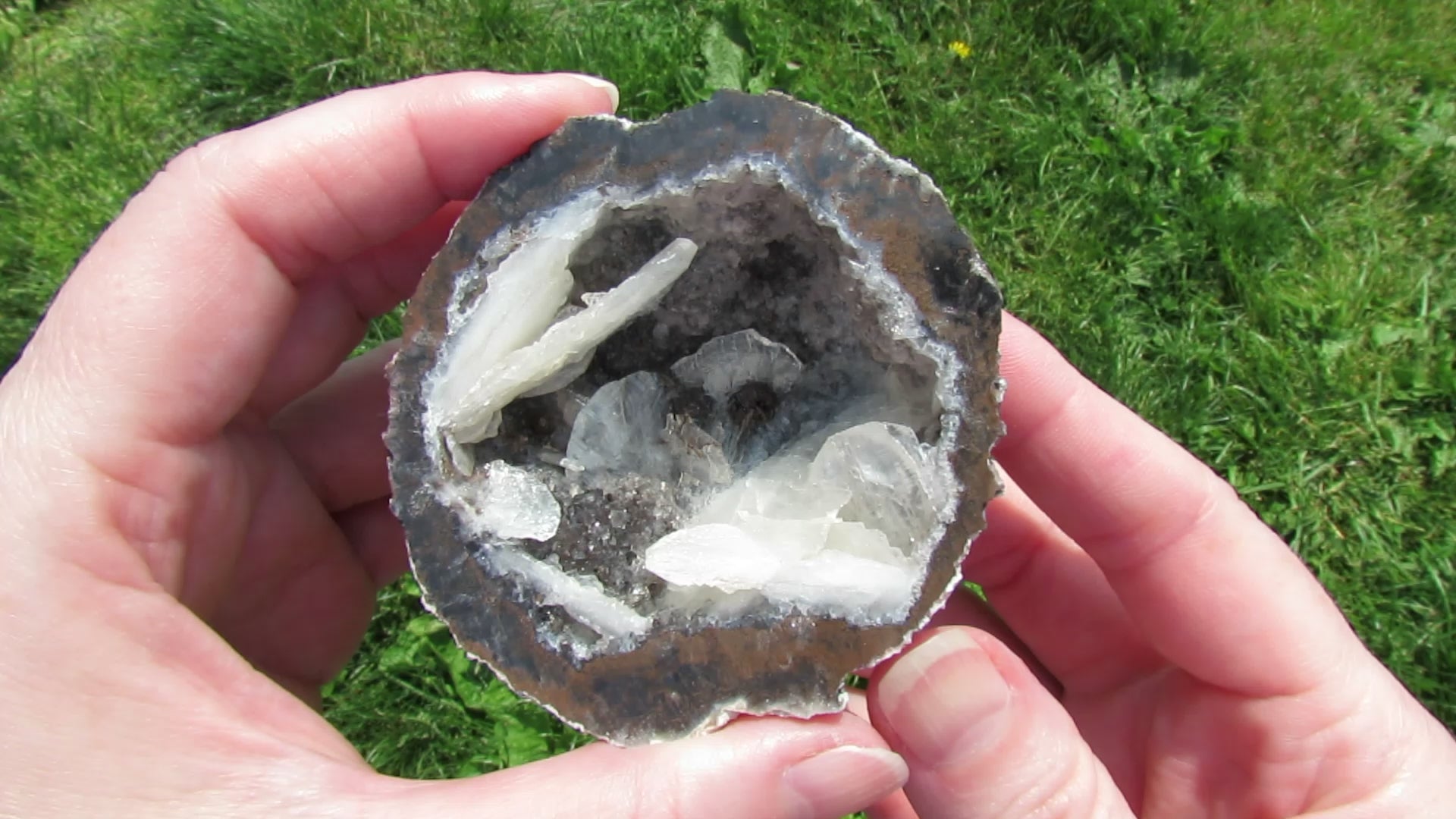 Coconut Geode - Coco8a - Calcite Plating, Angel Wings