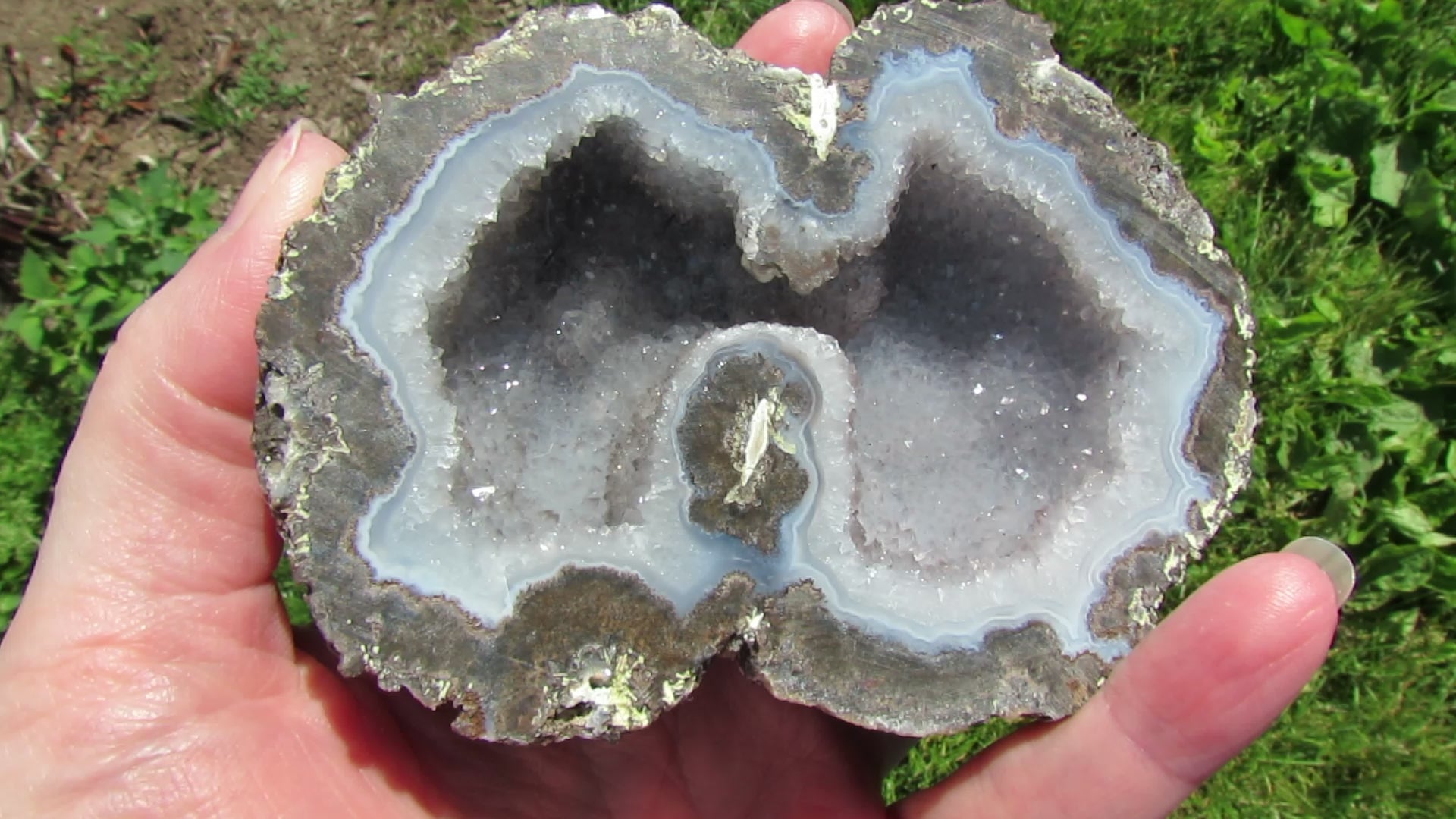 Las Choyas Coconut Geode - Smokey Quartz & Light Blue Agate Banding