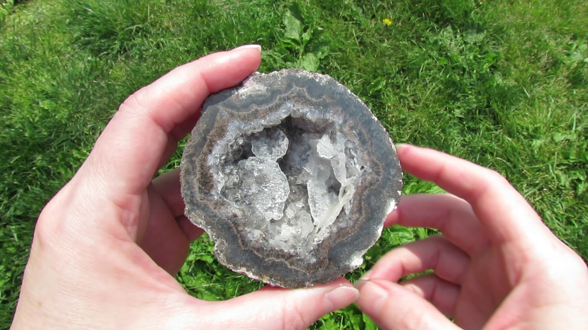 Coconut Geode - Coco9b - Calcite Plating, Angel Wings